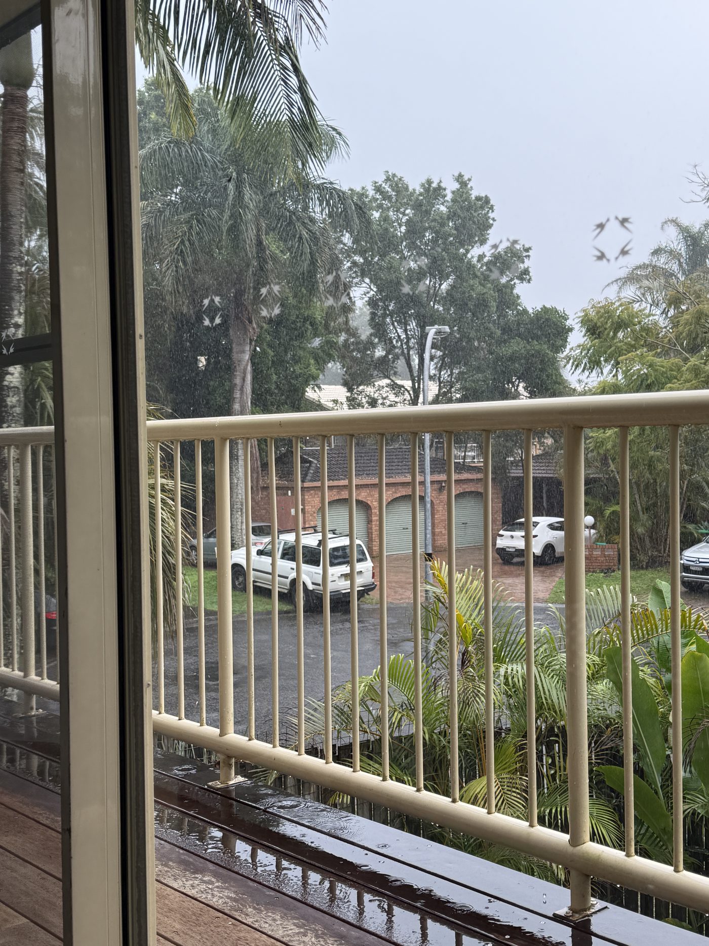 Blick vom Balkon der ersten Unterkunft auf eine verregnete Wohnstraße mit Palmen