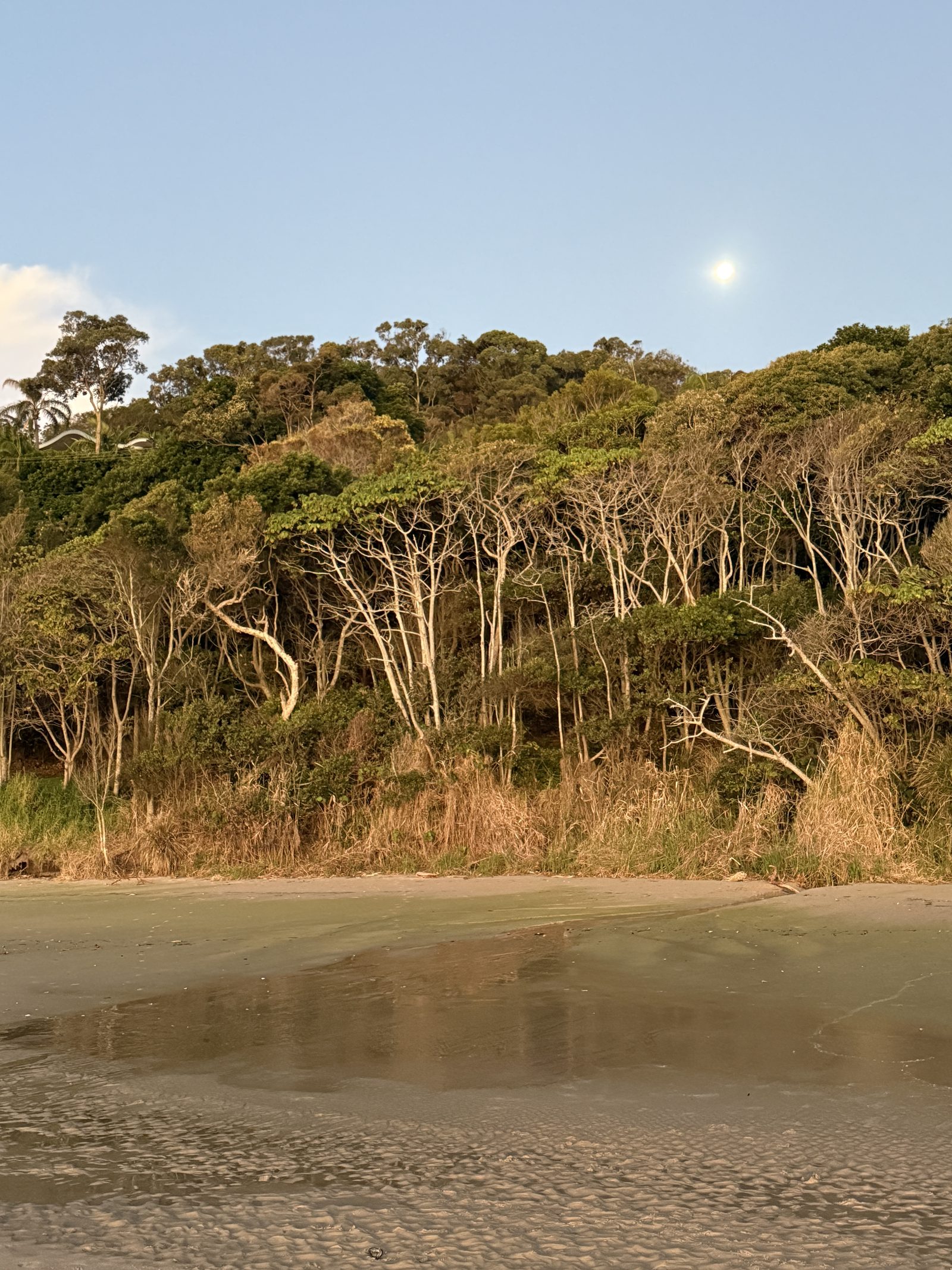 Stiller Strand mit Küstenwald und Mond am Abendhimmel bei Byron Bay