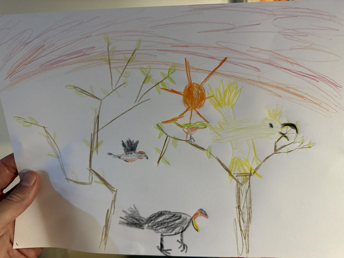 Buntstift-Zeichnung von Joris mit australischen Vögeln in Bäumen, einer orangen Sonne, einem Kakadu und einem Buschhuhn