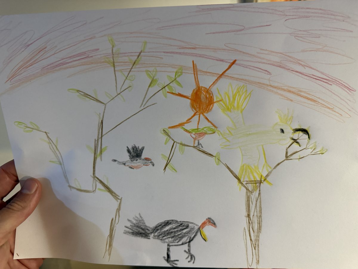 Joris' Buntstift-Zeichnung: ein Kakadu mit gelber Haube, ein Buschhuhn mit rotem Kopf, ein fliegender Vogel, Bäume und eine orange Sonne