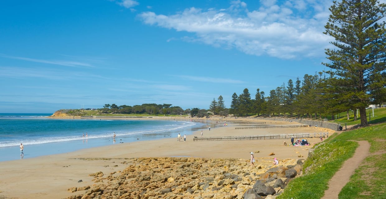 Scenic coastal view of Torquay Beach on the Victorian coast of Australia, with golden sand, turquoise water and Norfolk pines along the shore.